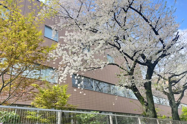 会長挨拶
